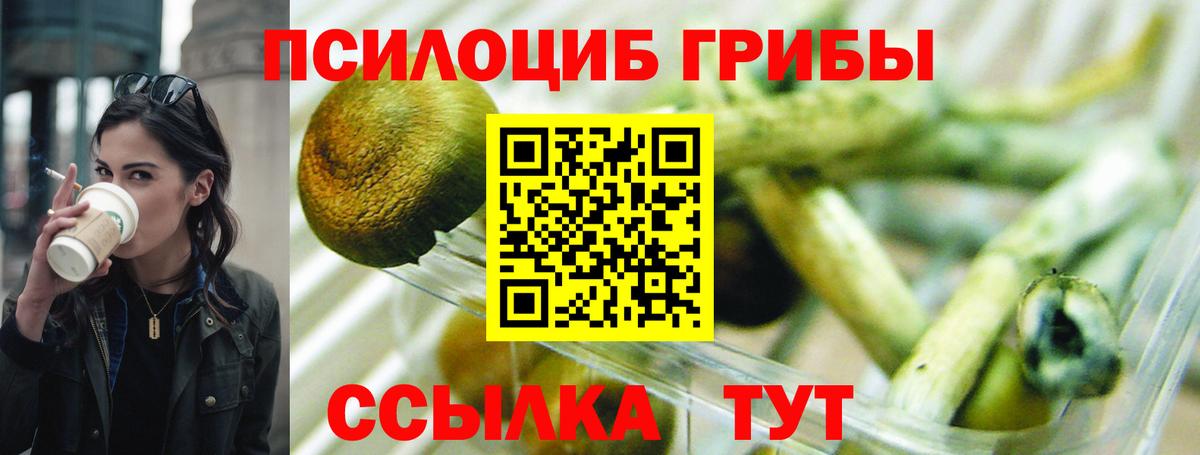 Псилоцибиновые грибы MAGIC MUSHROOMS Елец